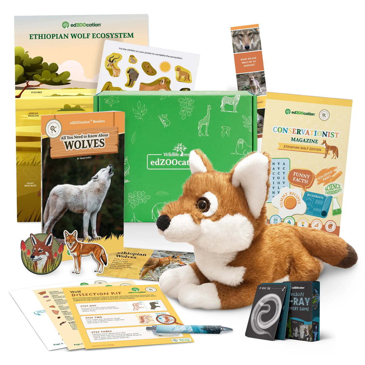 A closed green edZOOcation box surrounded by the Conservationist Ethiopian wolf contents — plush wolf, All You Need to Know About Wolves reader, Conservationist magazine, ecosystem poster, sticker sheet, bookmark, dissection kit, pen, patch and x-ray memory card game.