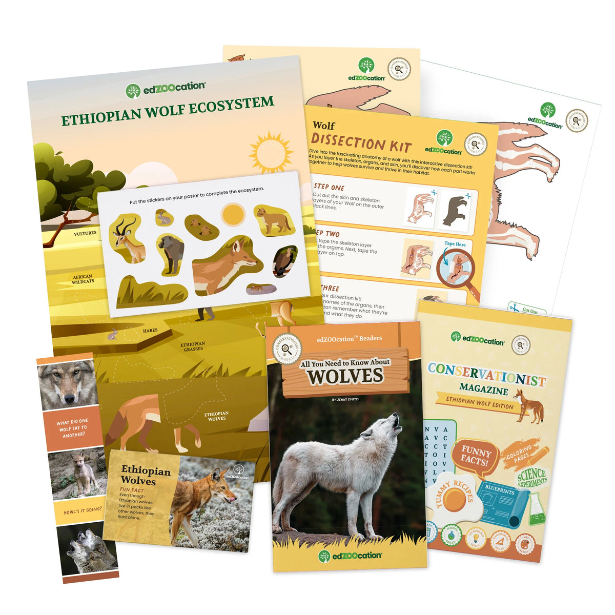 A set of educational activity kits and printed materials from edTOxation, including an Ethiopian Wolf Ecosystem kit, a Wolf Dissection Kit, and a Conservationist Magazine, arranged on a white background.
