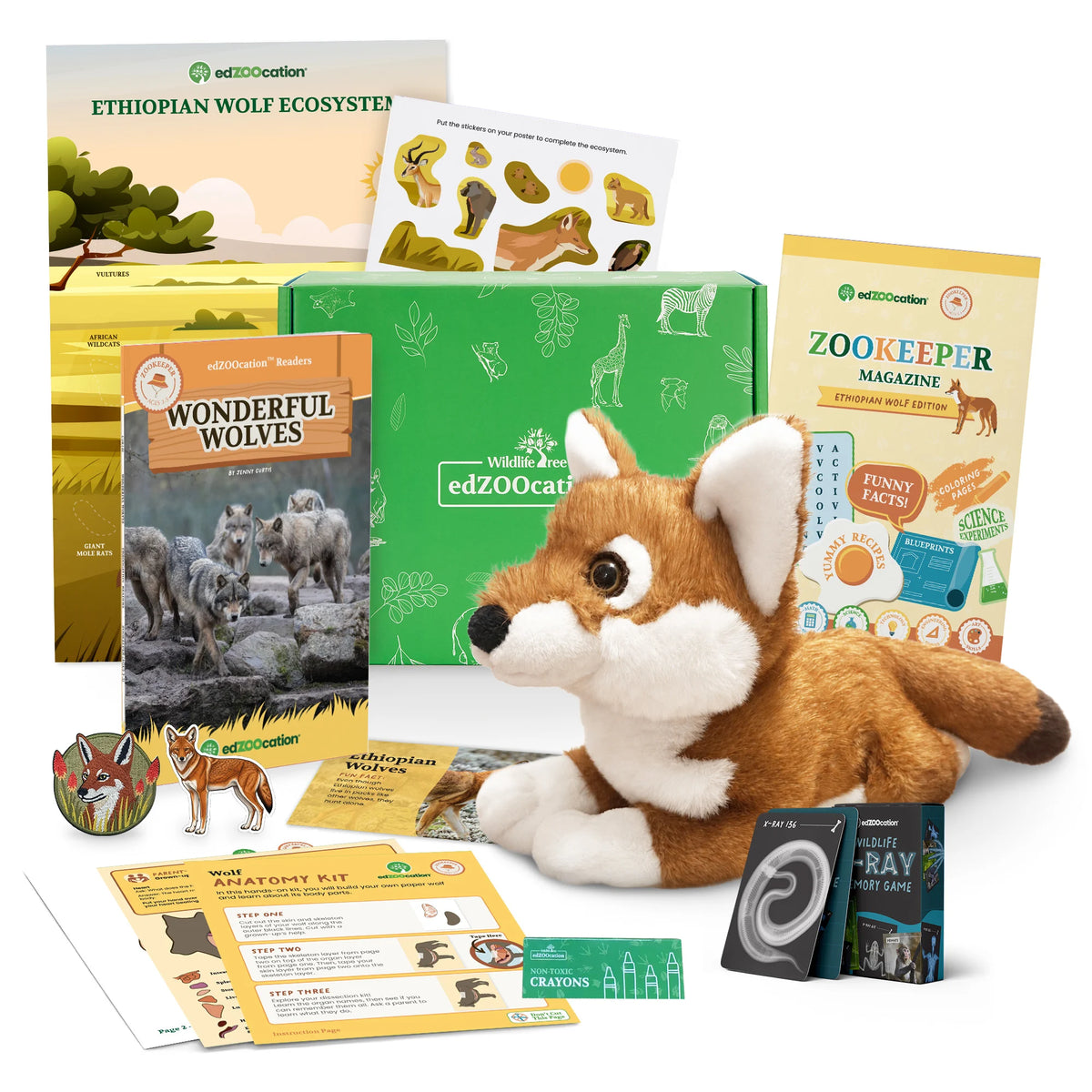 A closed green edZOOcation box surrounded by the Zookeeper Ethiopian wolf contents — plush wolf, Wonderful Wolves reader, Zookeeper magazine, ecosystem poster, sticker sheet, anatomy kit, crayons, patch and x-ray memory card game.