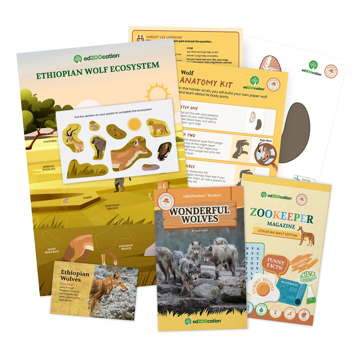 A children's educational activity kit set from edEdication, featuring the 'Ethiopian Wolf Ecosystem' kit, a 'Woolly Mammoth Anatomy Kit', a 'Wonderful Wolves' book, and a 'Zookeeper Magazine' issue, all arranged on a clean white background.