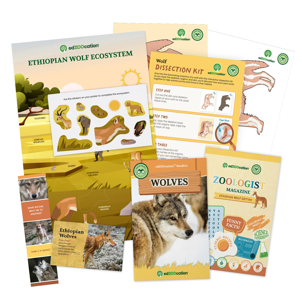 A set of educational animal and ecosystem activity cards and magazines from edEdCreation, including 'Ethiopian Wolf Ecosystem', 'Wolf Dissection Kit', 'Wolves', and 'Zoologist Magazine', arranged on a white background.