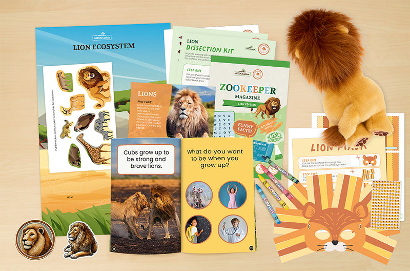 Educational lion-themed materials including books, a lion figurine, and stationery on a beige background.