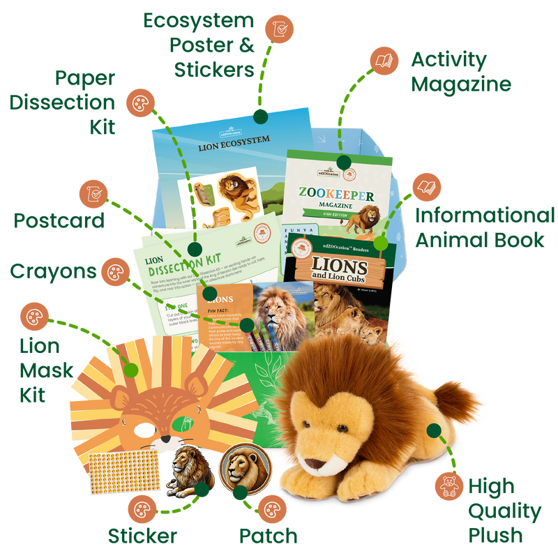 edZOOcation Zookeeper Box for ages 3-5 with lion plush, animal crafts, and wildlife learning activities