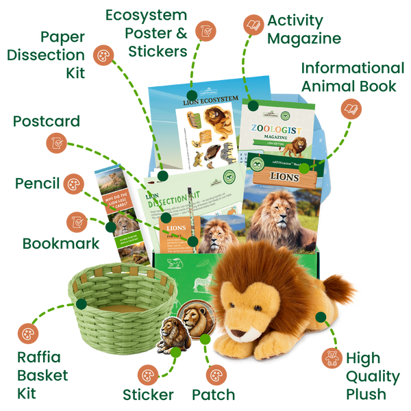 Educational lion-themed kit with various components including a plush lion, book, and basket on a white background.