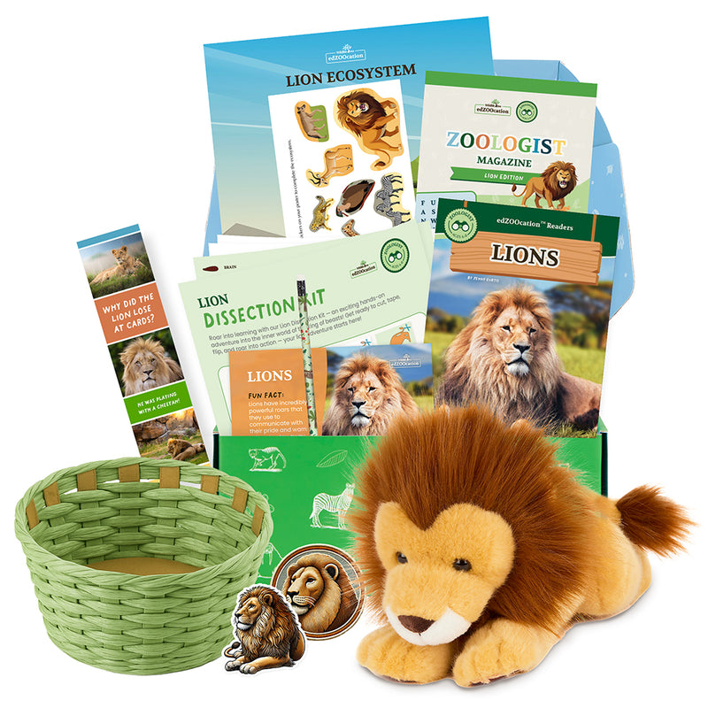 Educational lion-themed kit with books, toys, and materials on a white background