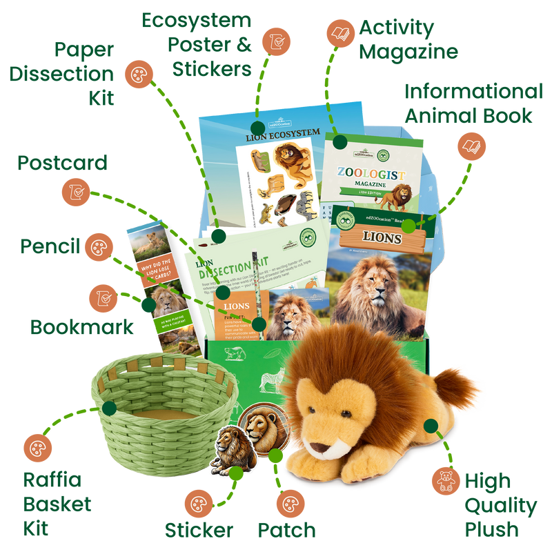 Educational lion-themed kit with various components including a plush lion, book, and basket on a white background.