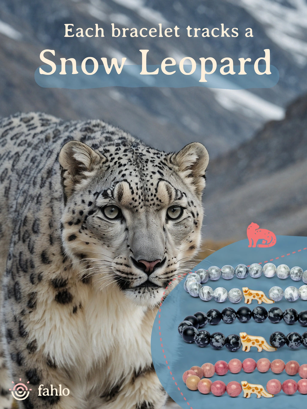 Snow leopard with bracelets tracking a snow leopard, brand 'fahlo' visible