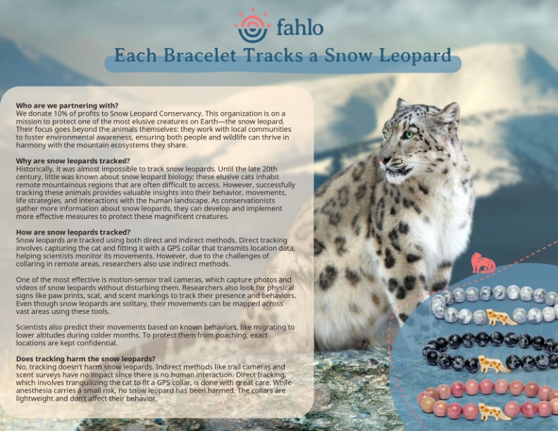 Snow leopard with bracelets and information text on a blue background