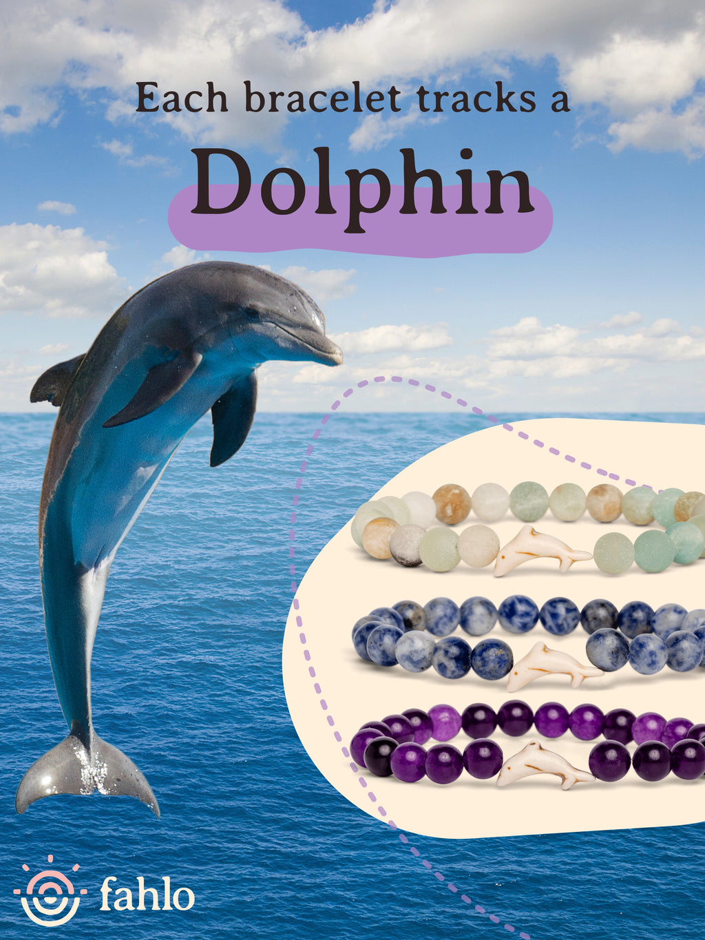 Bracelets tracking dolphins with a dolphin illustration and blue sky background