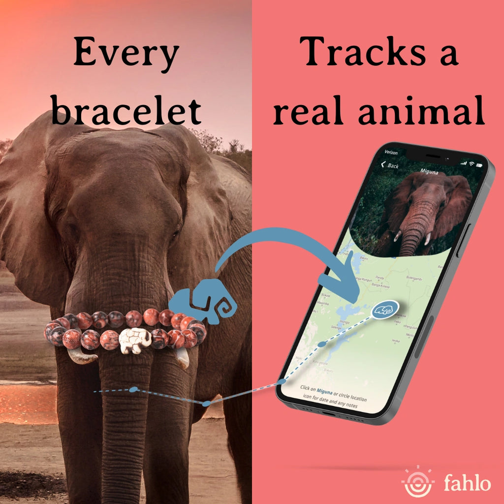 Elephant wearing a bracelet with a phone app showing tracking information on a pink background