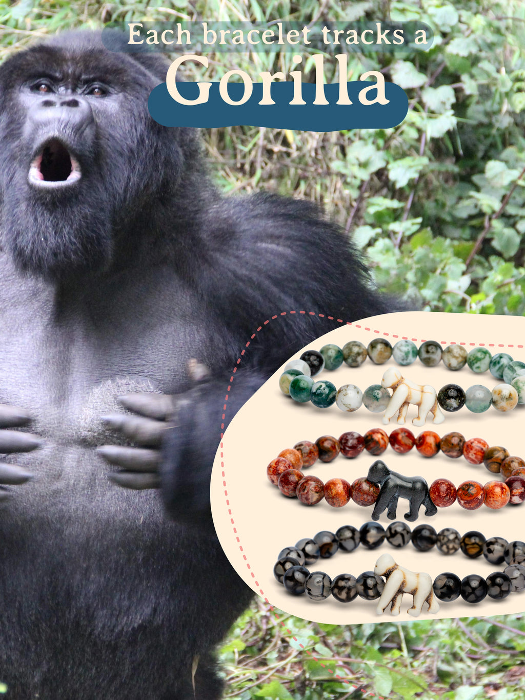 Gorilla with bracelets labeled 'Each bracelet tracks a Gorilla' on a natural background