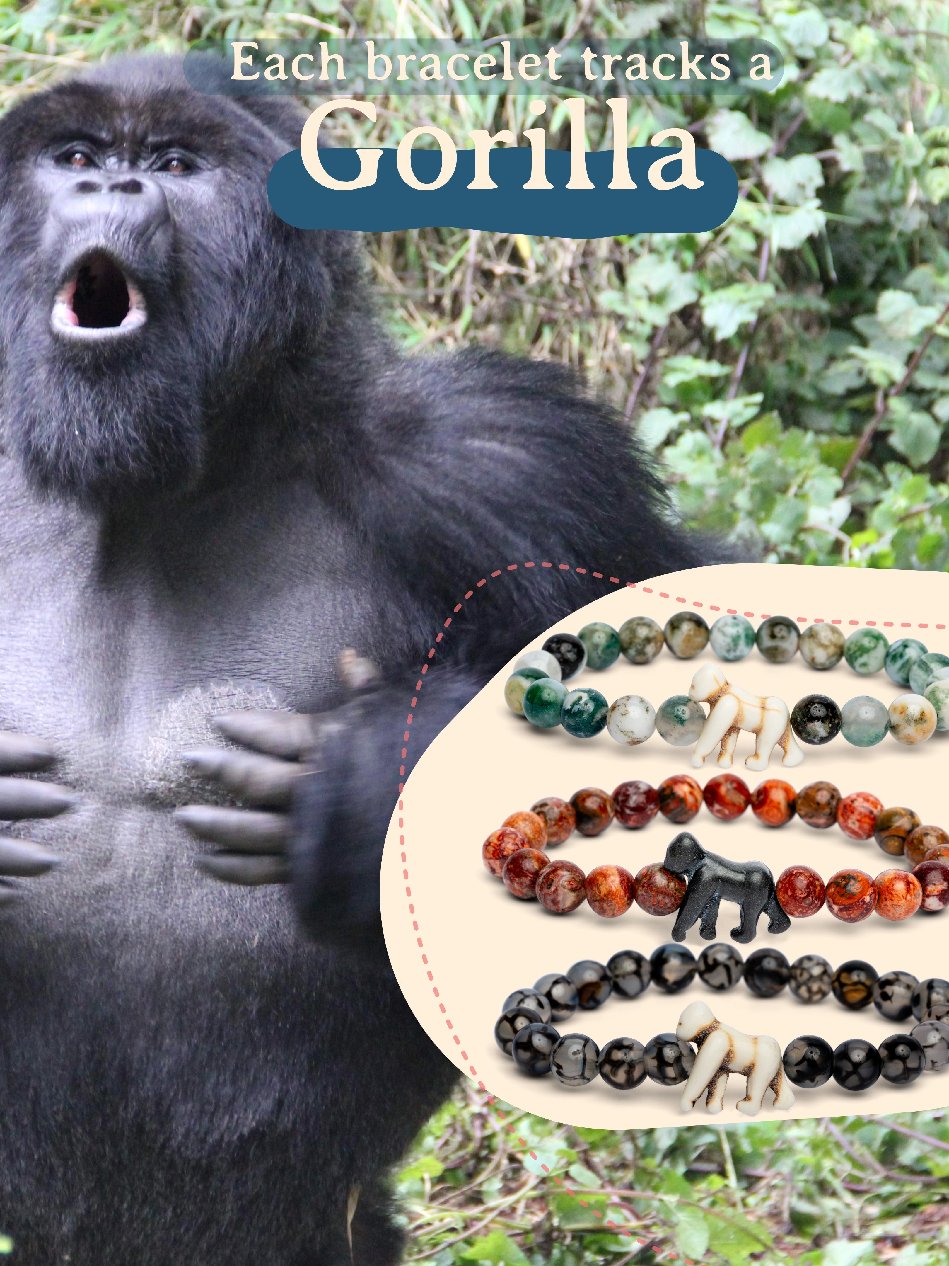 Gorilla with bracelets labeled 'Each bracelet tracks a Gorilla' on a natural background