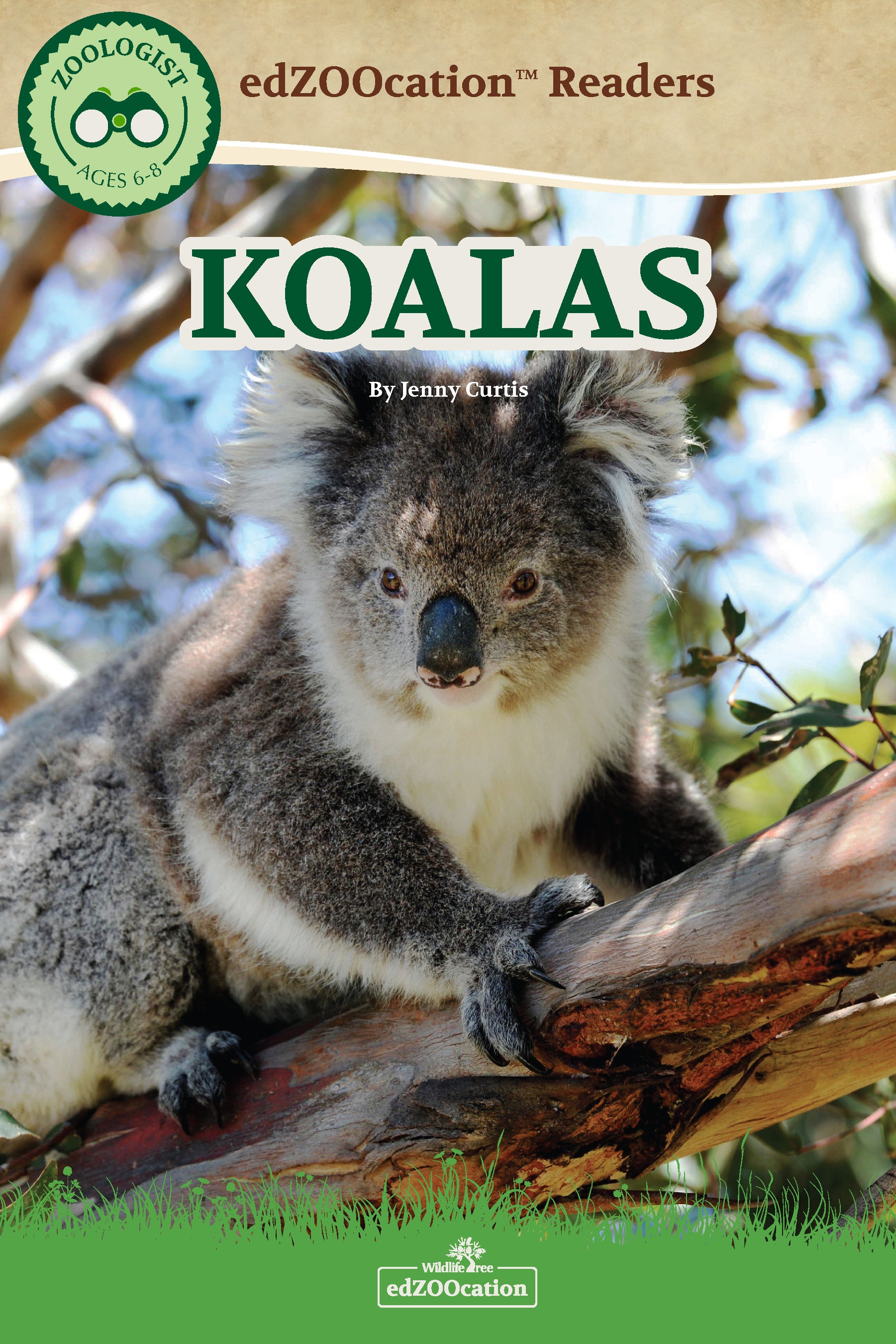 Educational book on Koalas