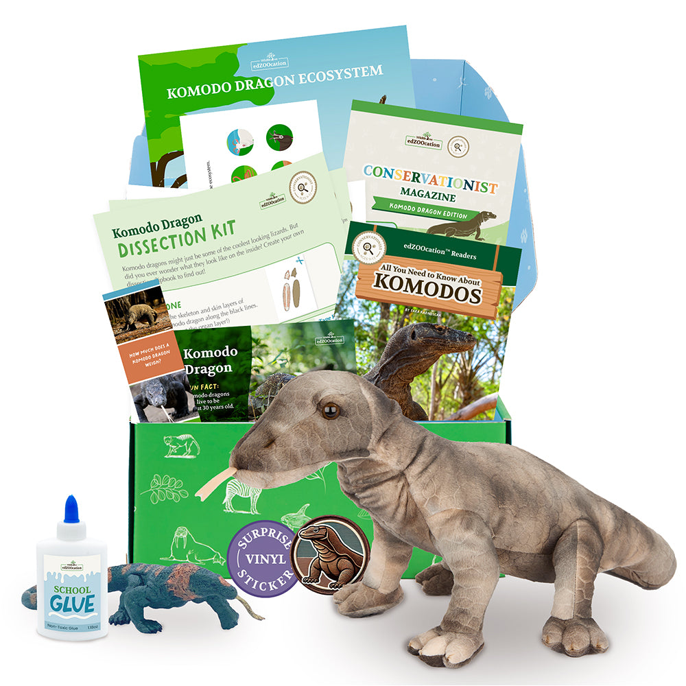 A collection of items including a Komodo Dragon plush toy, magazines, activity kits, and a bottle of vinegar, all packaged in a subscription box with 'edZOOcation' branding.