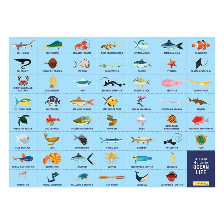 Chart of ocean life with icons on a blue background