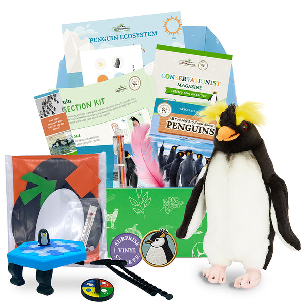 Penguin Stuffed Animal edZOOcation™ Conservationist Box (Age 9-12)
