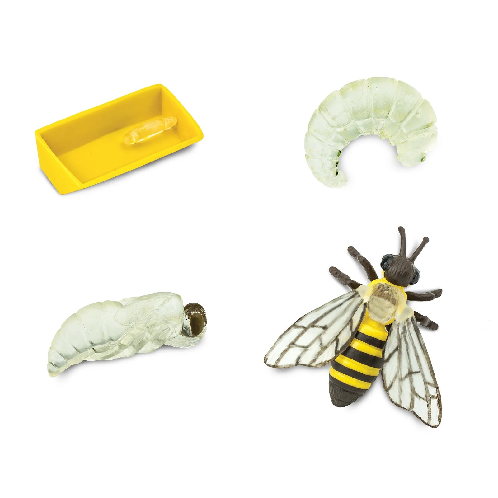Set of butterfly life cycle models including caterpillar, chrysalis, and adult butterfly on a white background.