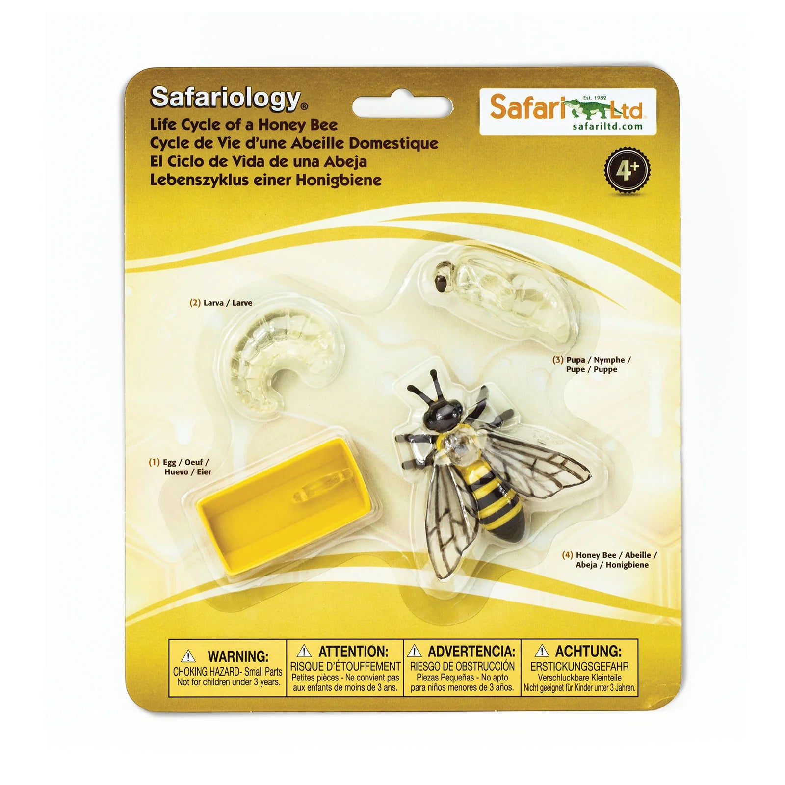 Safariology bee life cycle set packaging on a white background
