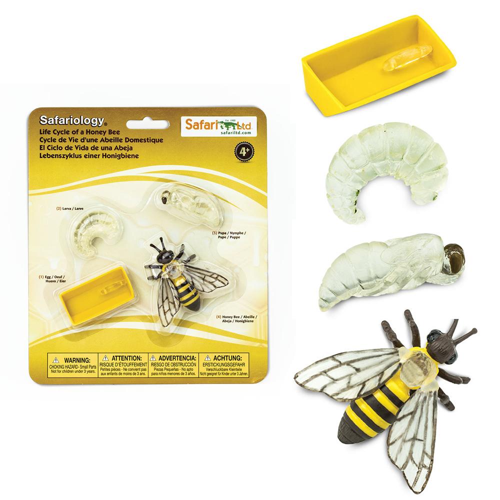 Safari Ltd bee life cycle set with packaging on a white background