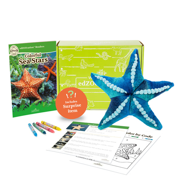 Sea Star Stuffed Animal edZOOcation™ Zookeeper Box (Ages 3-5)
