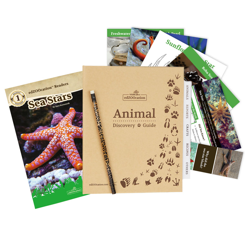 Sea Star Stuffed Animal edZOOcation™ Zoologist Box (Ages 6-8)