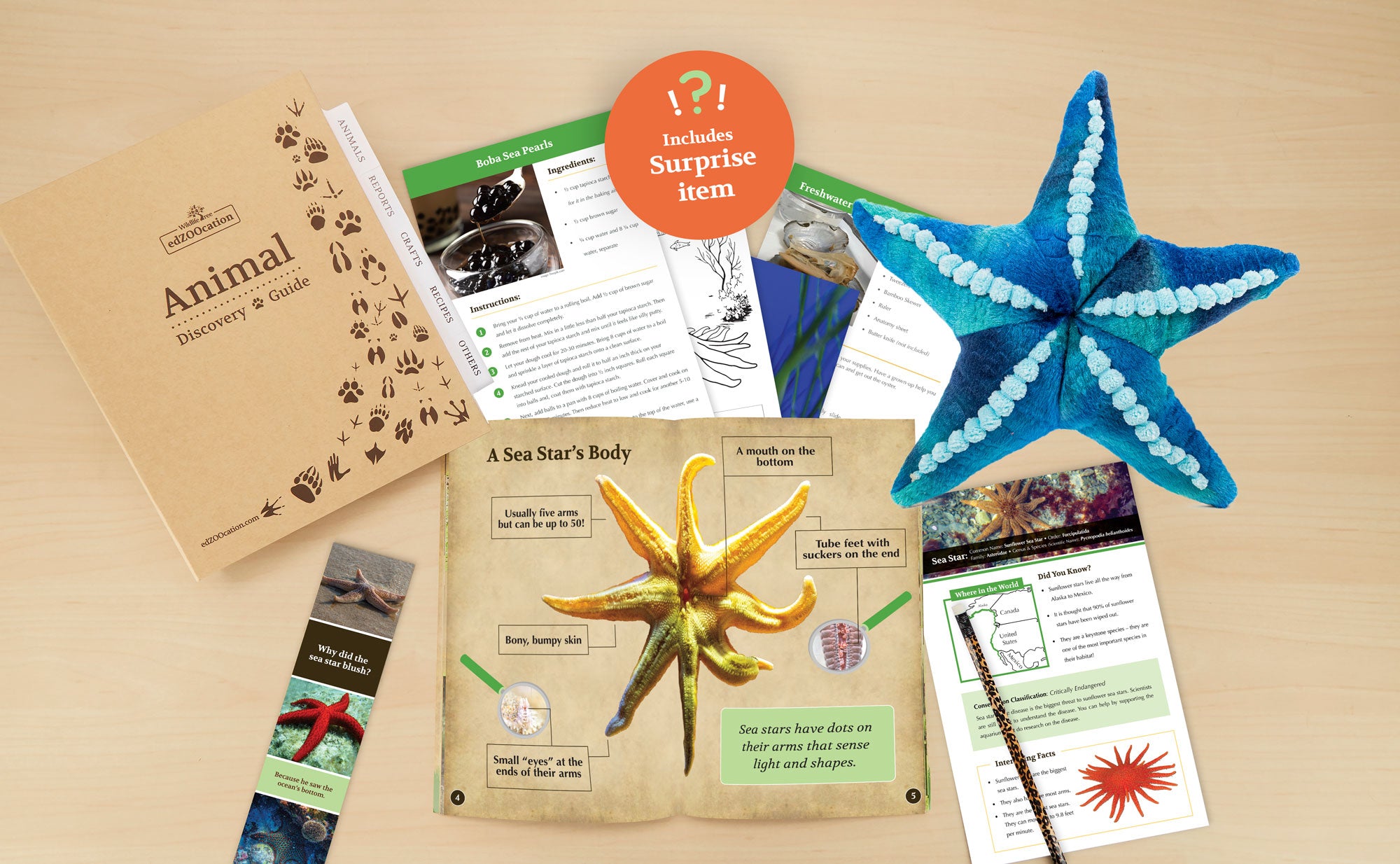 Plush Sea Star Stuffed Animal edZOOcation™ Box Educational Gift Set