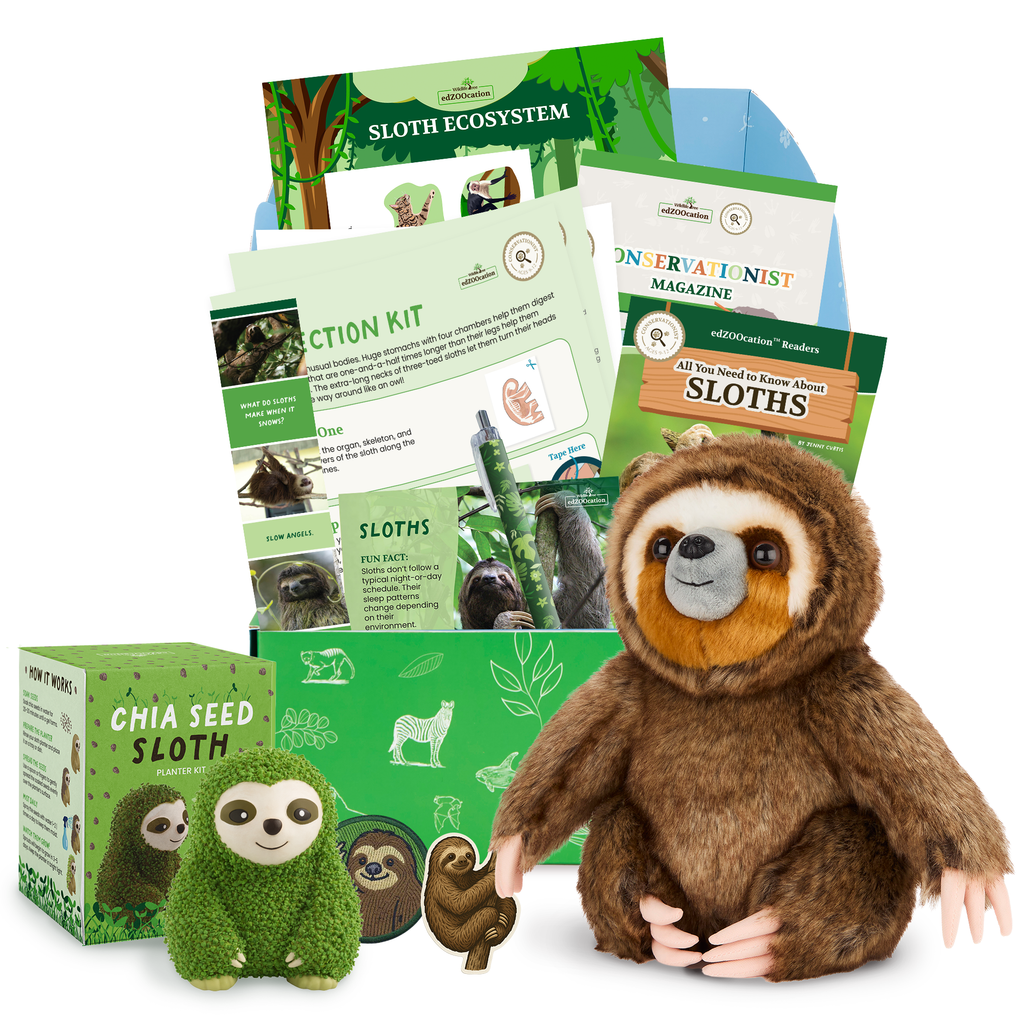 Sloth Conservationist Box (Age 9-12) – edZOOcation