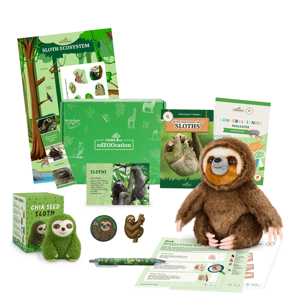 Sloth Conservationist Box (Age 9-12)