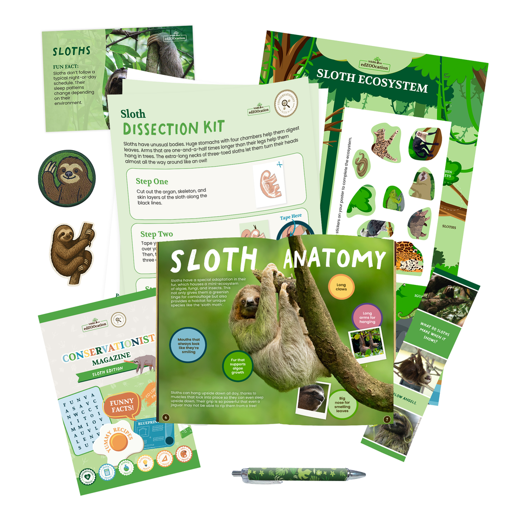 Sloth Conservationist Box (Age 9-12)