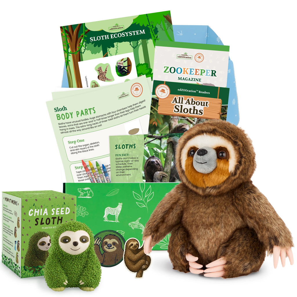 Sloth-themed educational kit with plush toy, books, and activities on a white background
