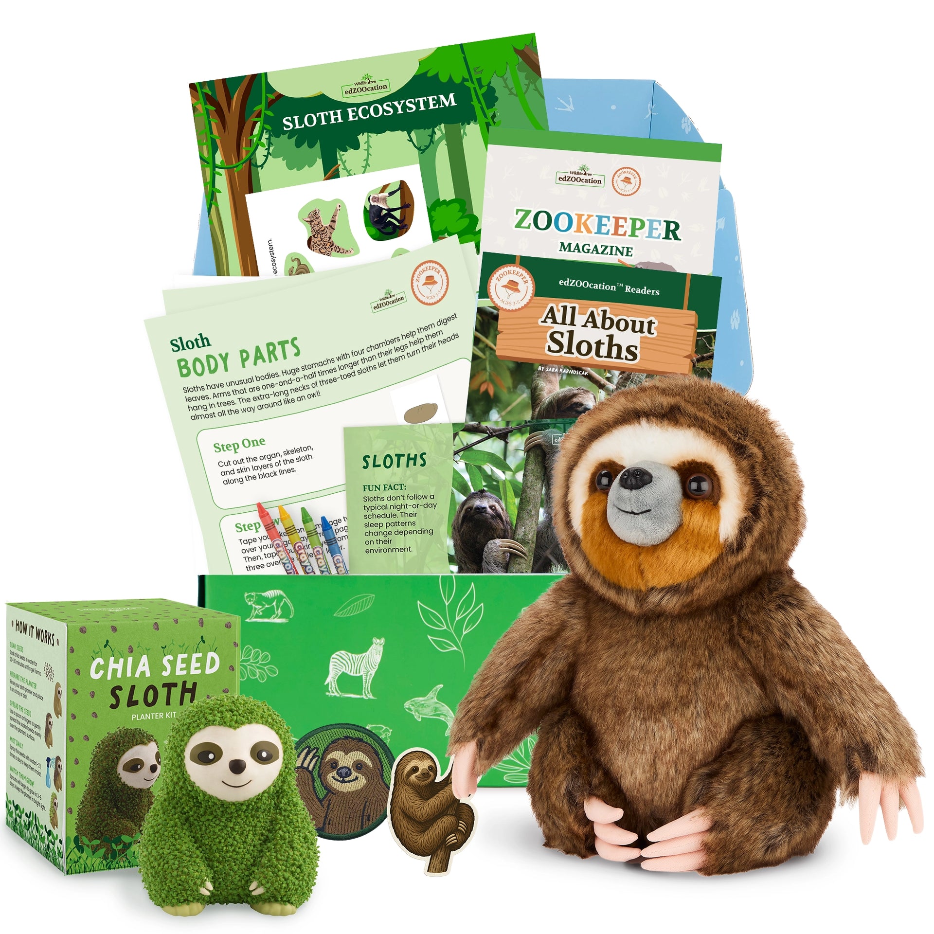 Sloth Zookeeper Box (Ages 3-5) – edZOOcation