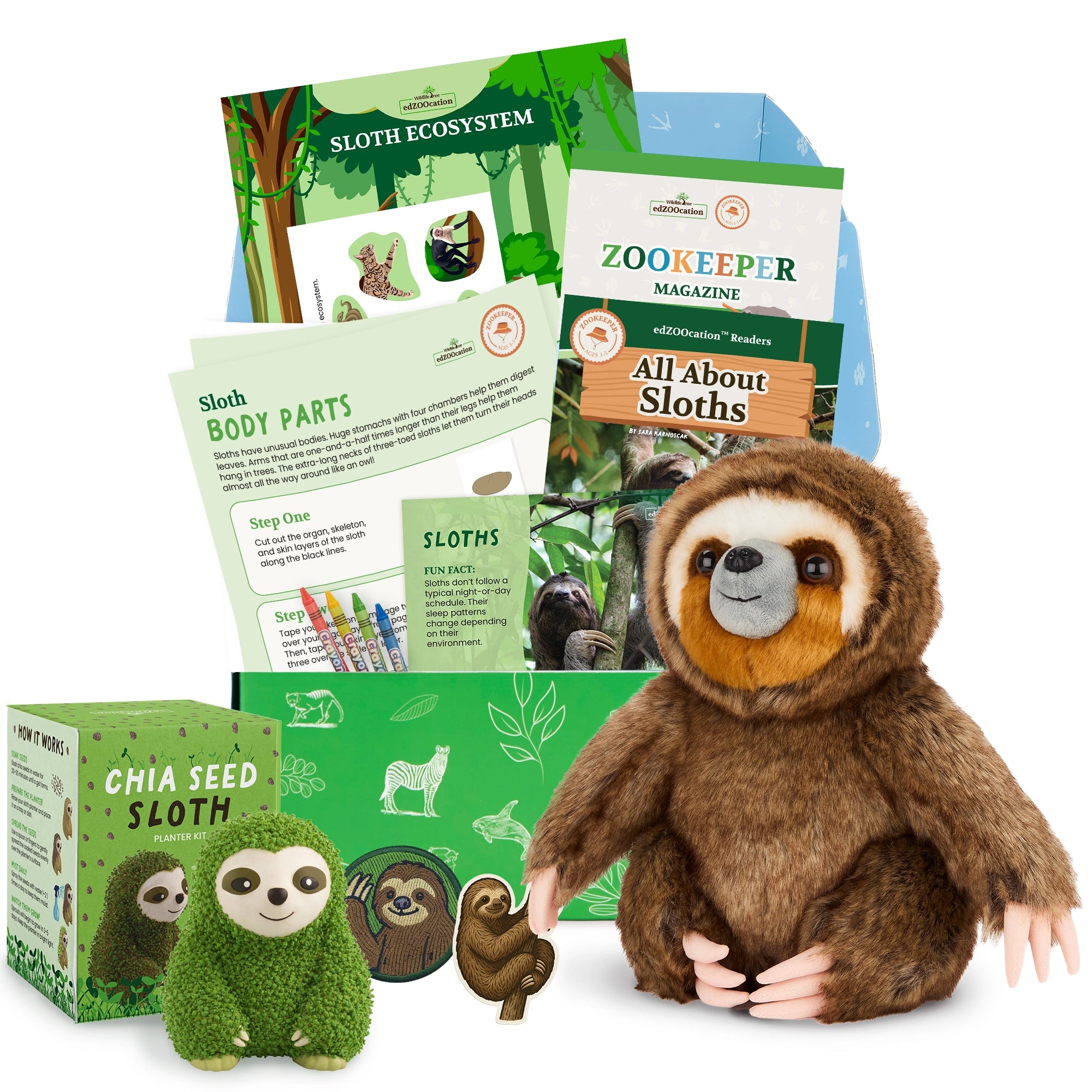 Sloth-themed educational kit with plush toy, books, and activities on a white background