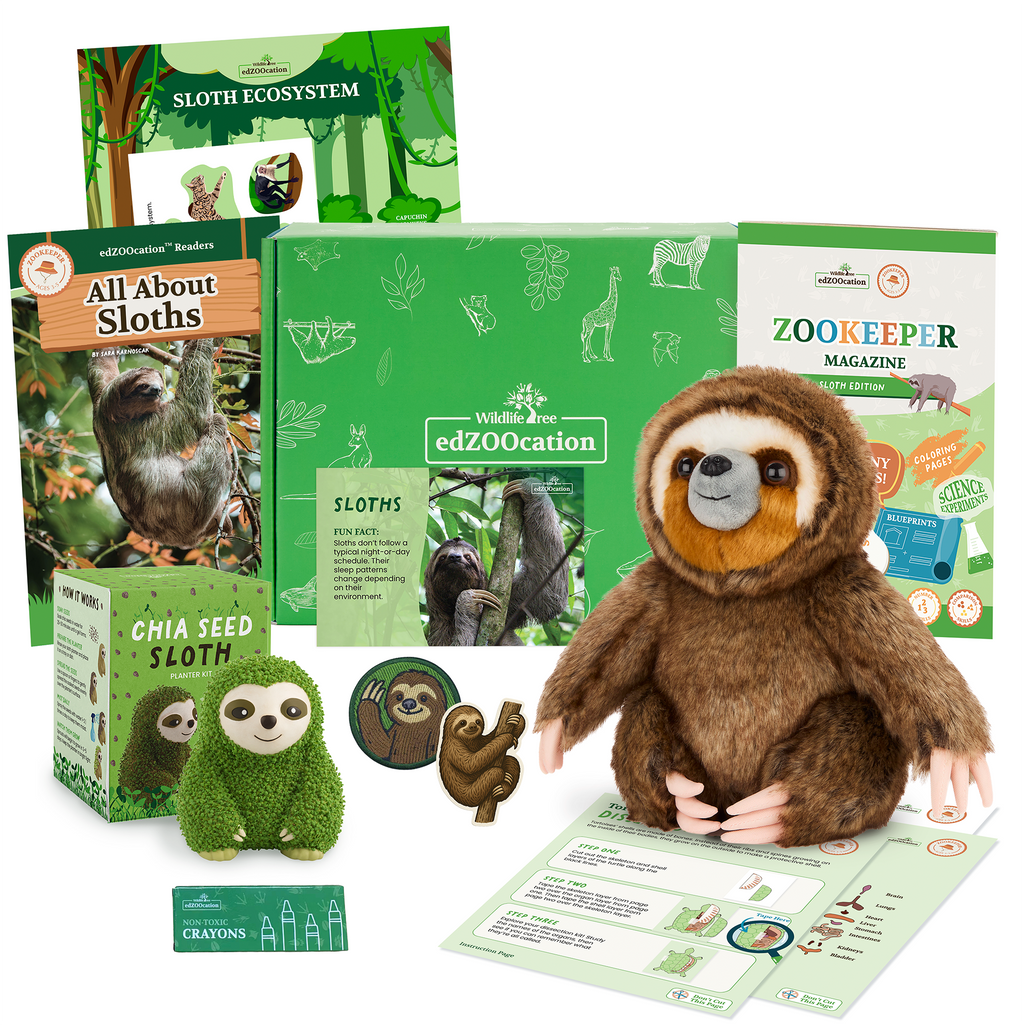 Sloth Zookeeper Box (Ages 3-5)