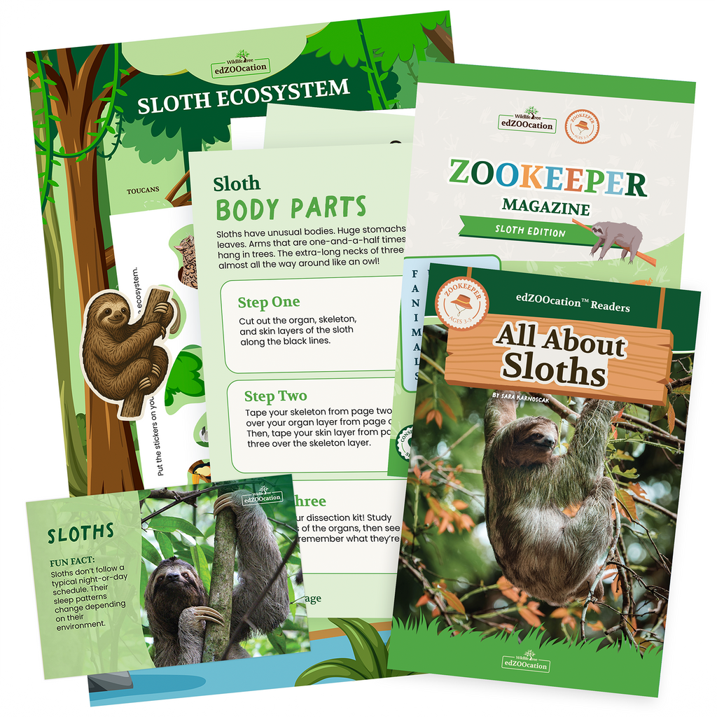 Sloth Zookeeper Box (Ages 3-5)