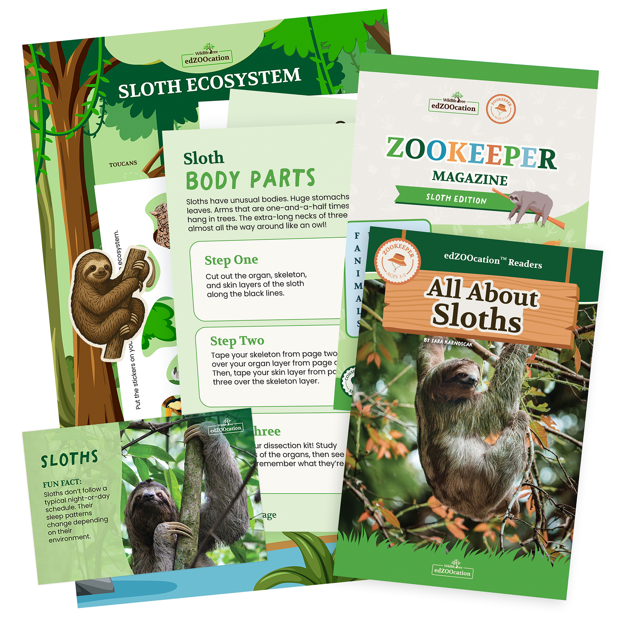 Sloth Zookeeper Box (Ages 3-5)