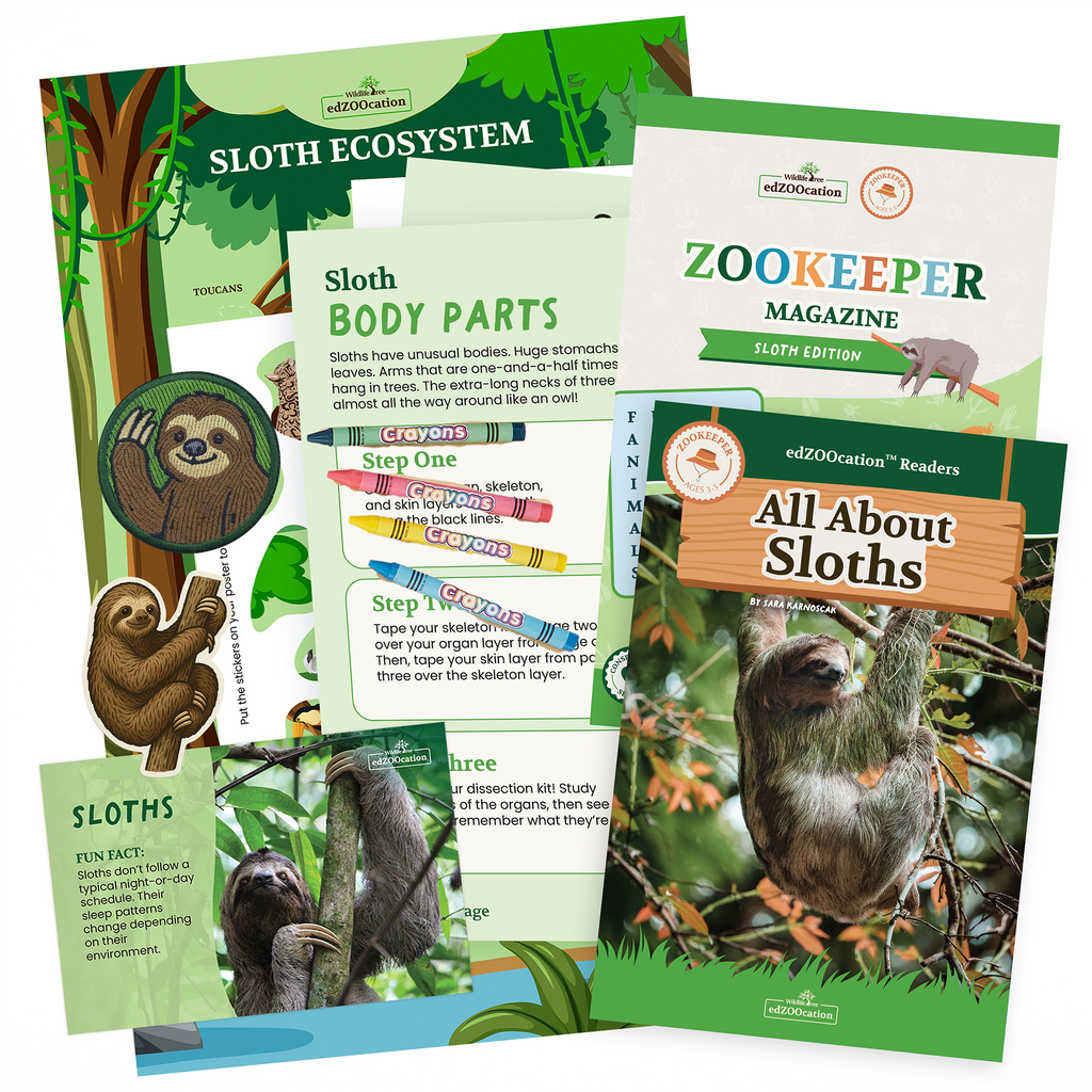 Sloth Zookeeper Box (Ages 3-5)