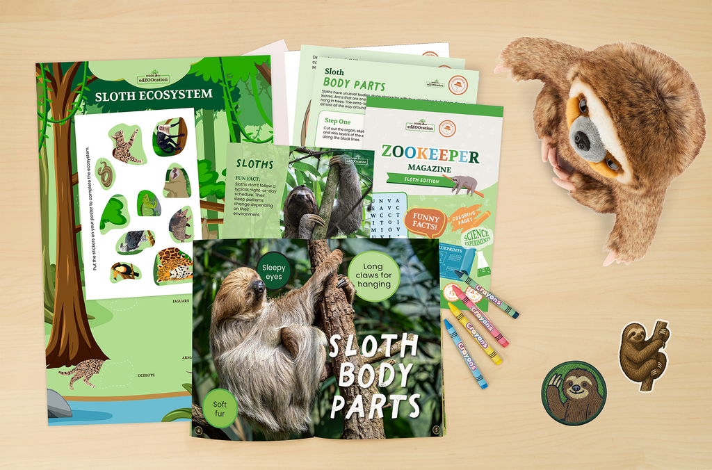 Sloth Zookeeper Box (Ages 3-5)