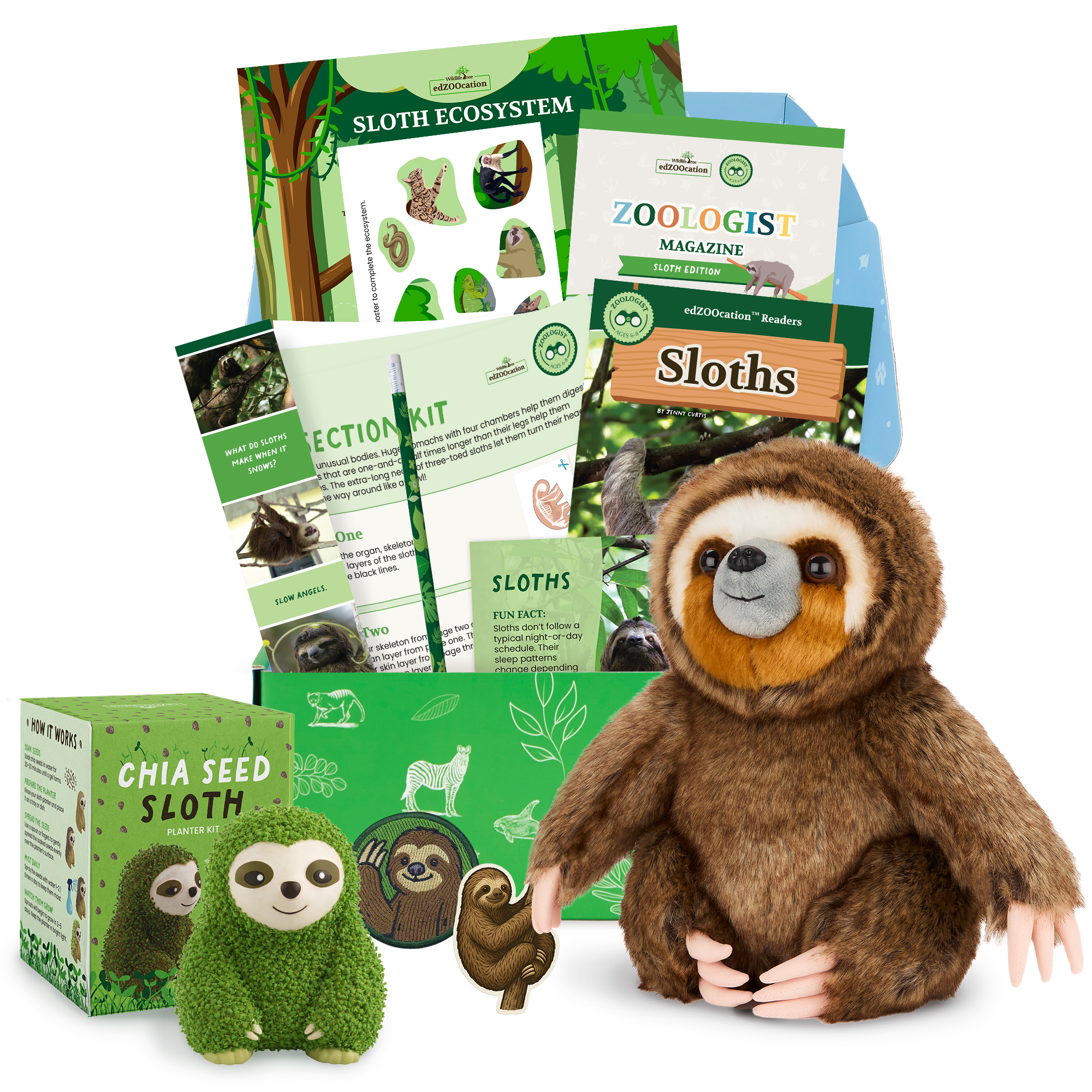 Sloth-themed educational kit with plush toy, books, and chia seed product on a white background