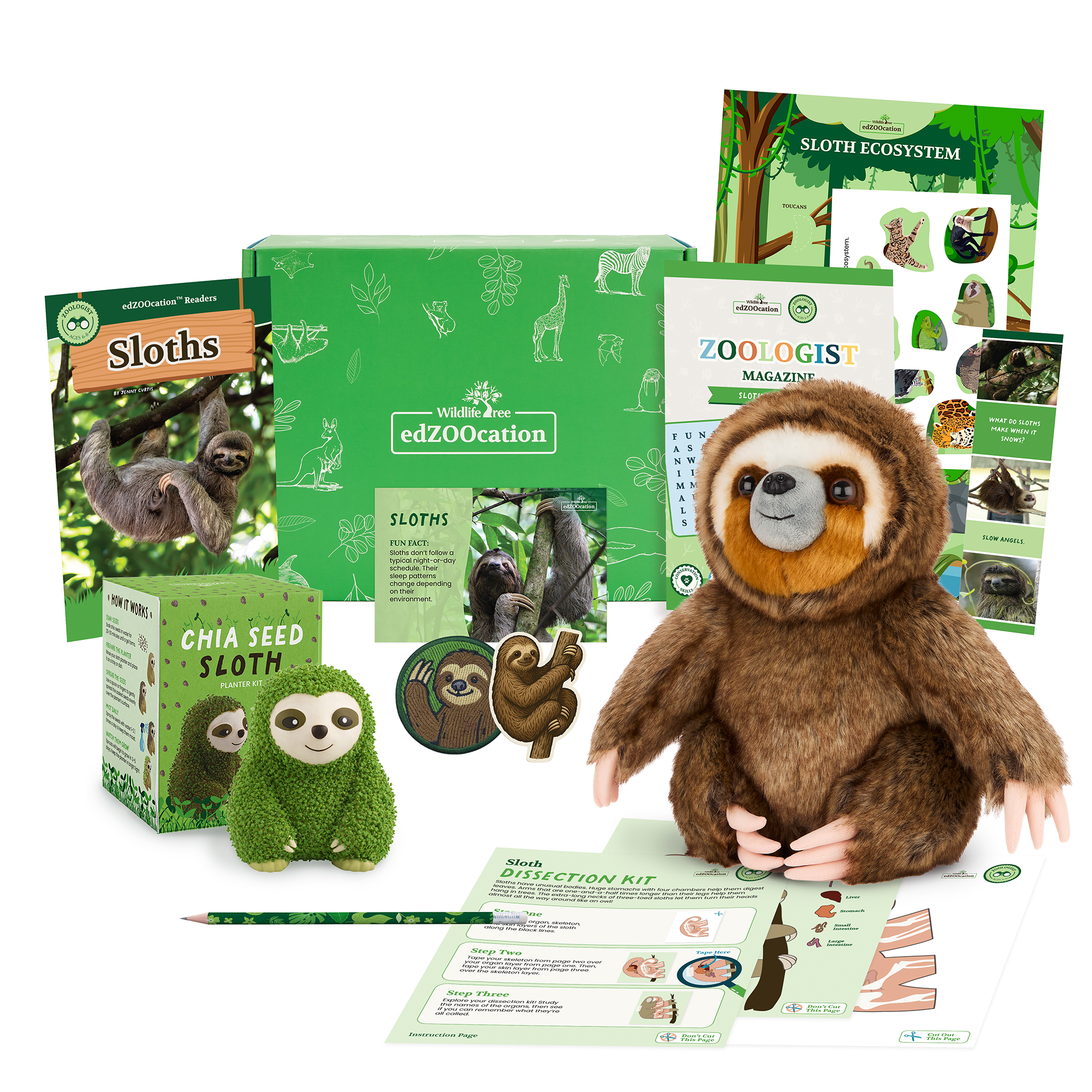 Sloth Zoologist Box (Ages 6-8)