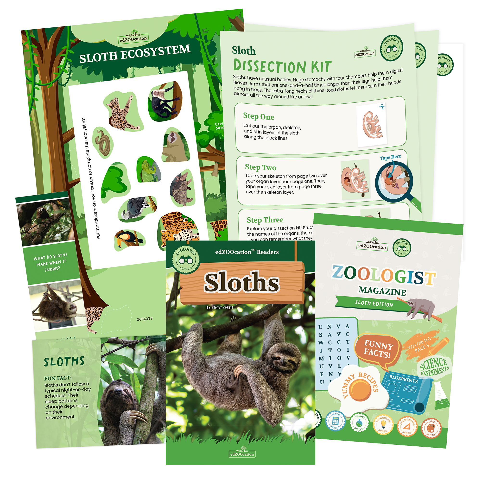Sloth Zoologist Box (Ages 6-8)