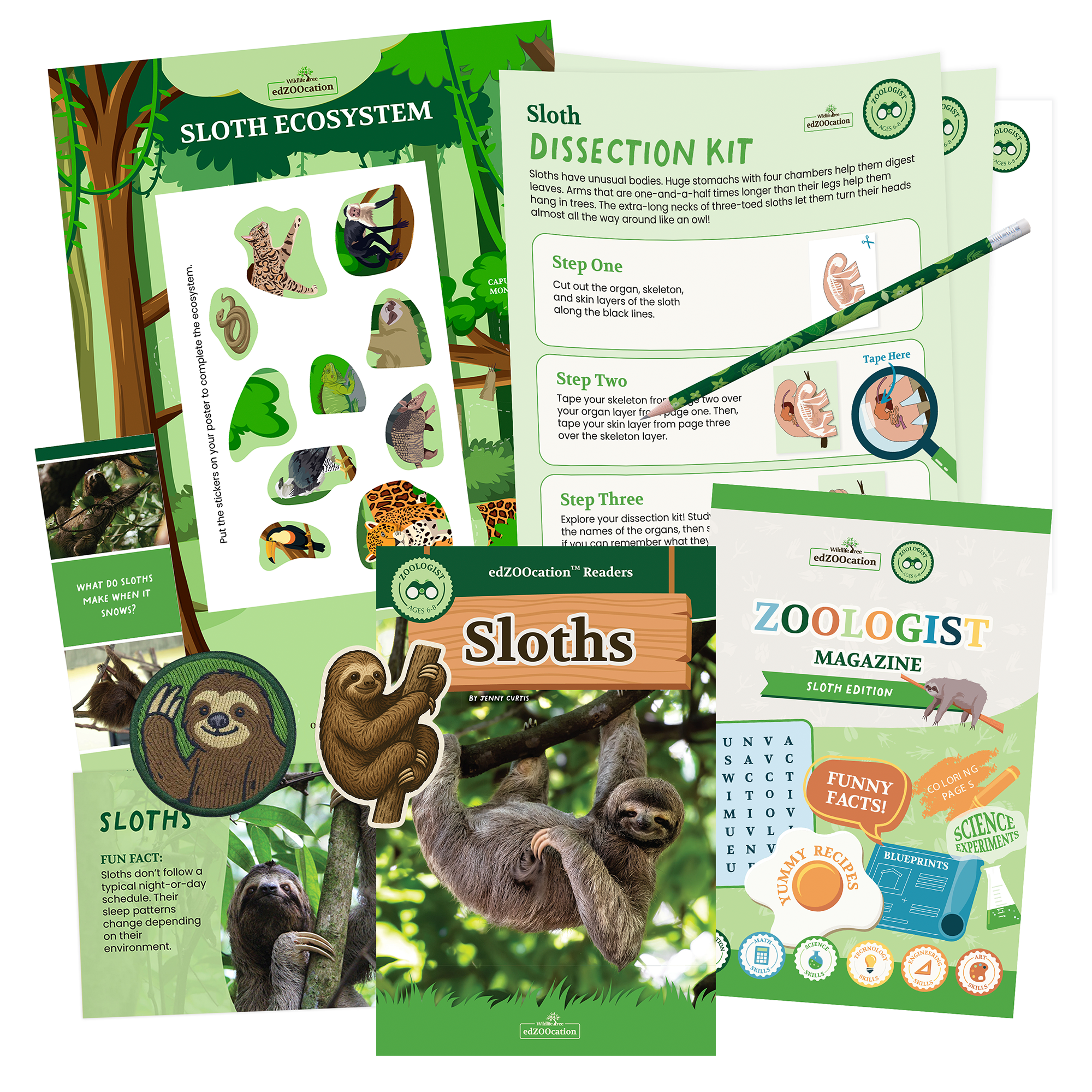 Sloth Zoologist Box (Ages 6-8)