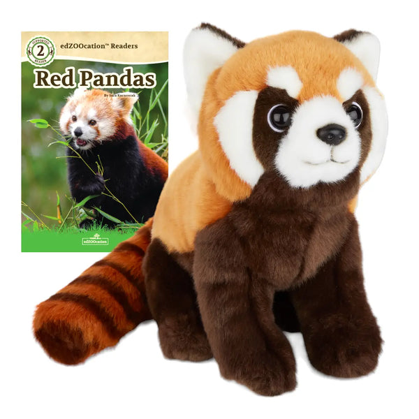 12” Plush + Zoologist Reader Book: Red Panda (Ages 6–8)