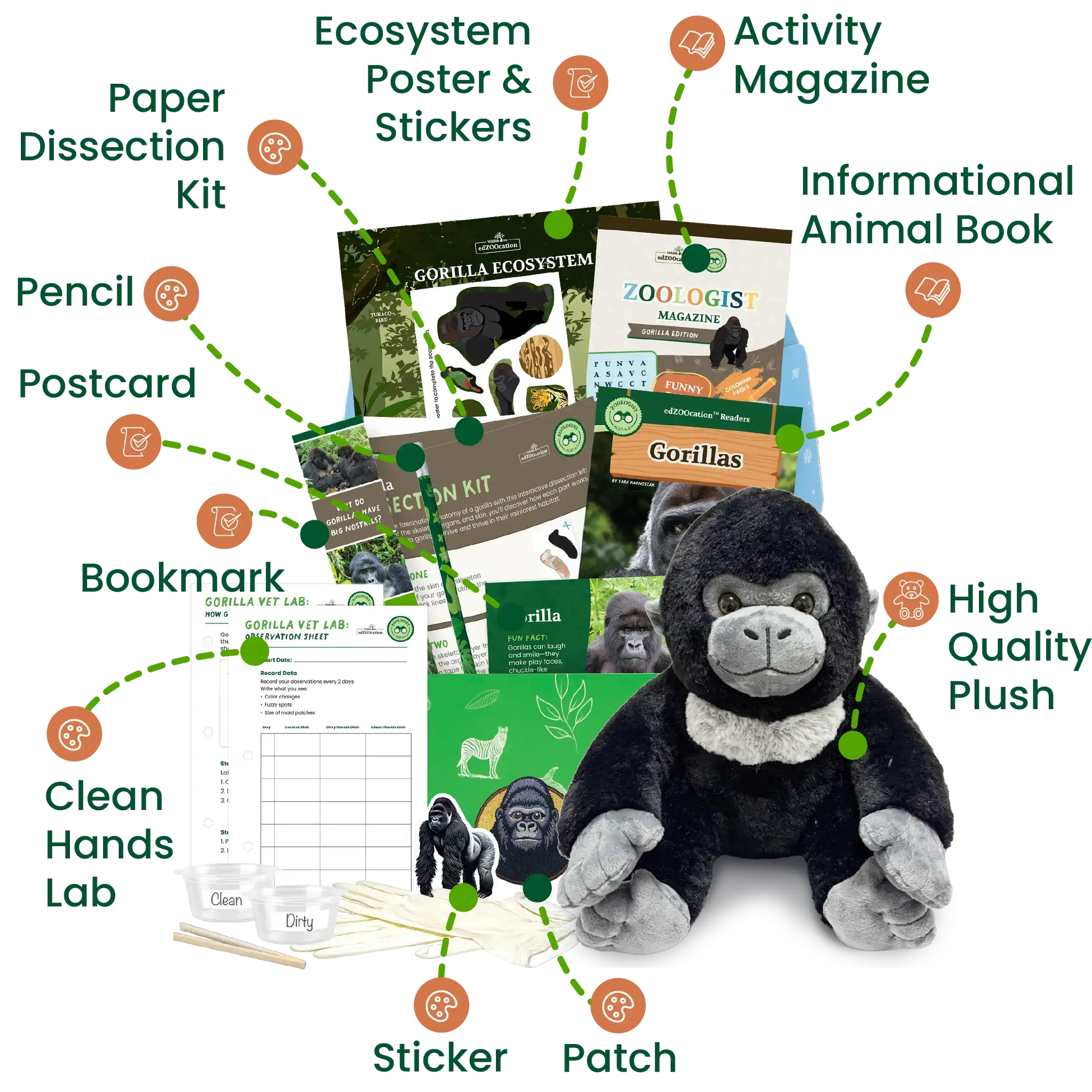 Collection of educational and interactive items related to gorillas on a white background