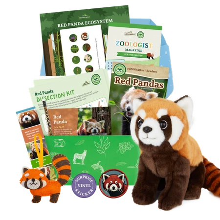 Red Panda