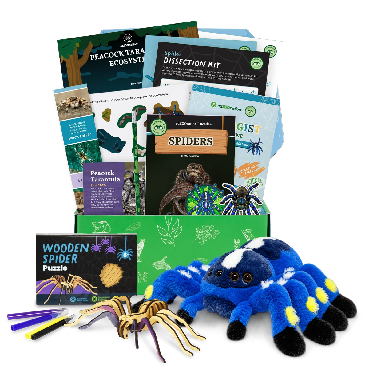 Peacock Tarantula educational box with plush toy, books, and activities