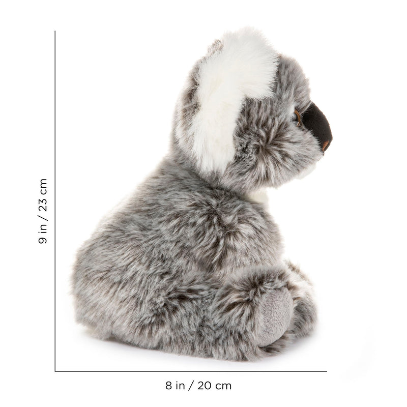 10 Inch Stuffed Koala Plush Floppy Animal Kingdom Collection