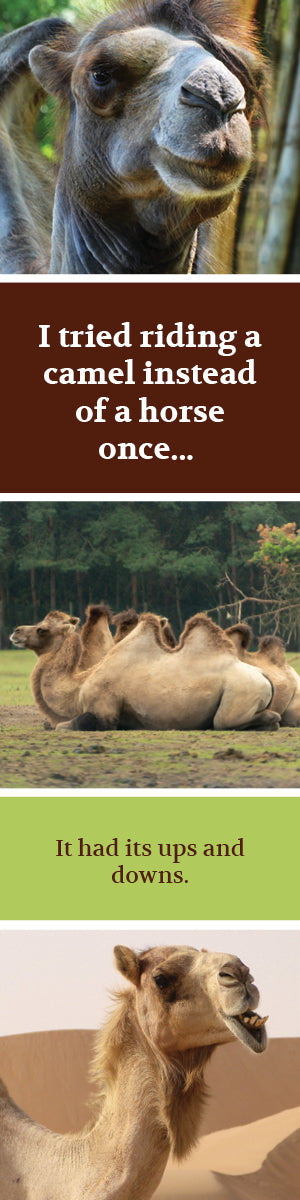 Wild Camel Bookmark
