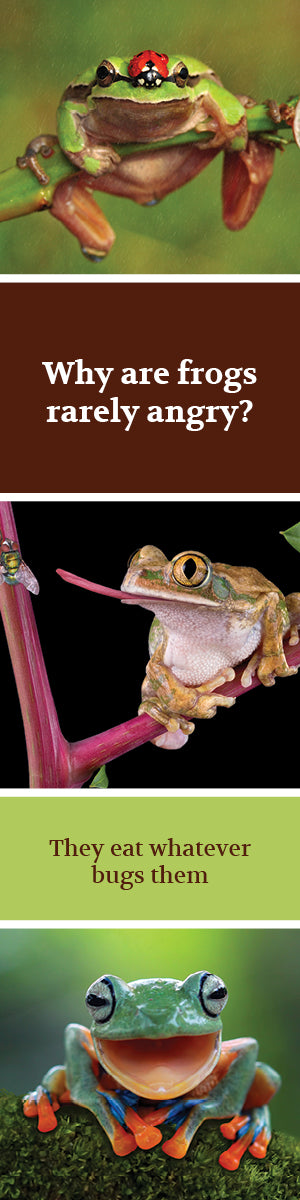 Frog Bookmark