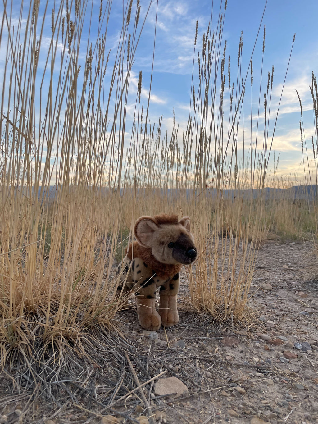 11" Standing Hyena Stuffed Animal