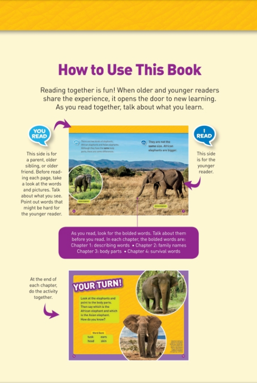 National Geographic Kids Readers: Elephants (Level 1 Co-Reader) Animal Book